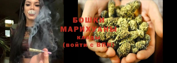 сатива Армянск