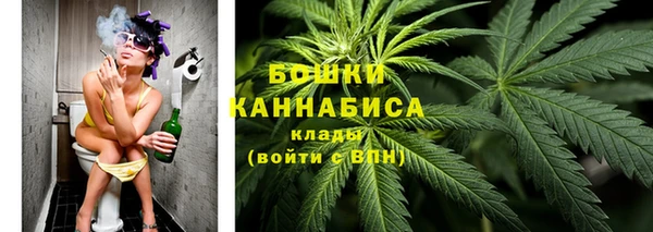 сатива Армянск