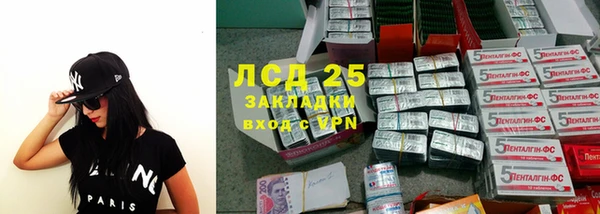 сатива Армянск